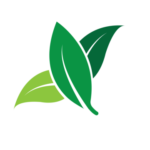 pngtree-green-leaf-icon-design-template-vector-image_6710581